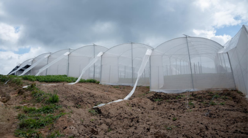 Cesar impulsa proyecto de invernaderos y obras viales con inversiones en zona rural y urbana