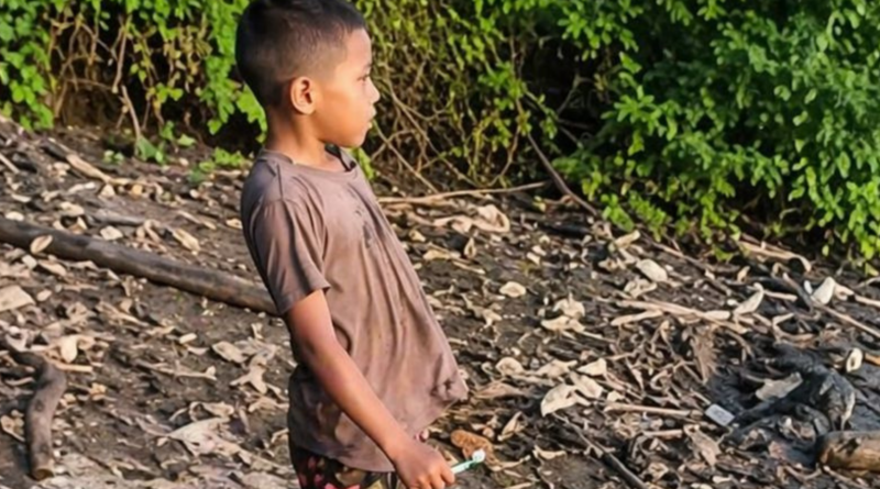Viral: menor interactúa con un caimán en la orilla de un río y enciende alertas por su seguridad