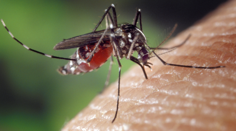 Valledupar reporta 1.827 casos de dengue y dos menores fallecidos en lo corrido del año