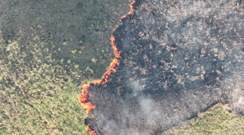 Aeronave cisterna llega a Valledupar para apoyar atención del incendio en la Serranía del Perijá