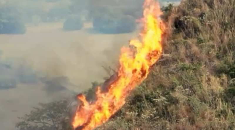 Presidente denuncia incendios provocados en cinco departamentos en medio de la emergencia por el terremoto