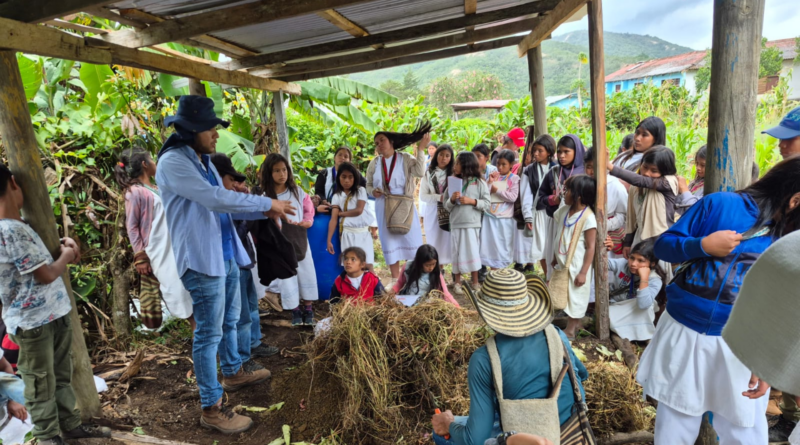 En el corazón de la Sierra, niños Arhuacos aprenden sobre producción sostenible