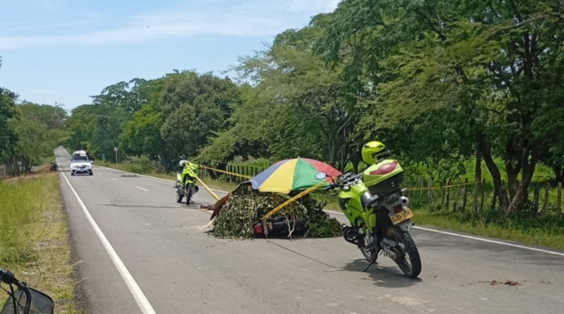 Tragedia en la vía a Los Venados: motociclista murió tras chocar contra una vaca