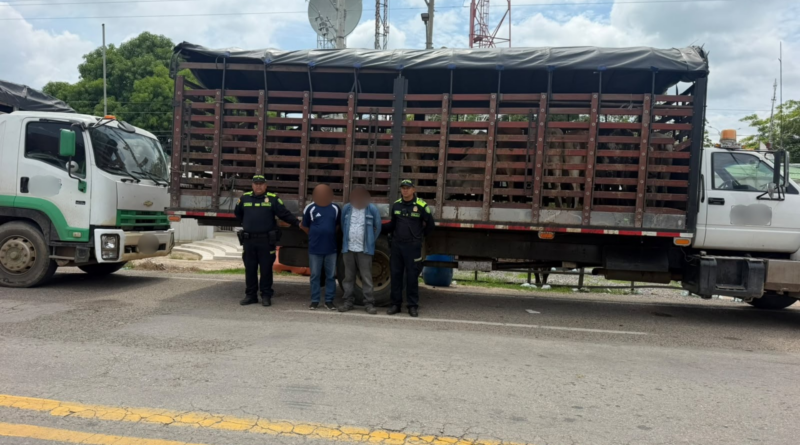 Recuperan 58 cabezas de ganado hurtadas en zona rural de Mariangola
